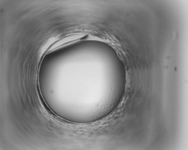 X0000088070003200705251414