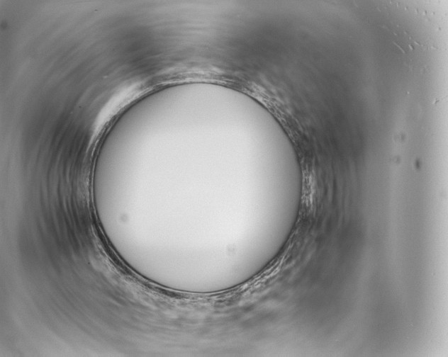 X0000088070004200705251414