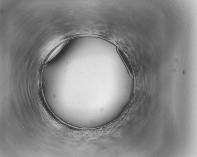 X0000088070005200705251414