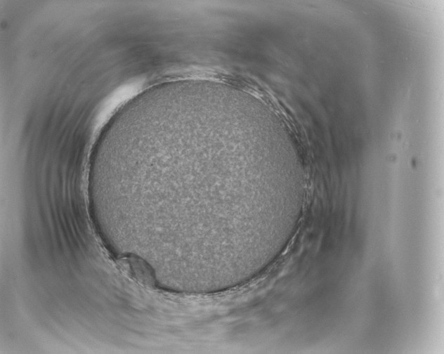 X0000088070006200705251414