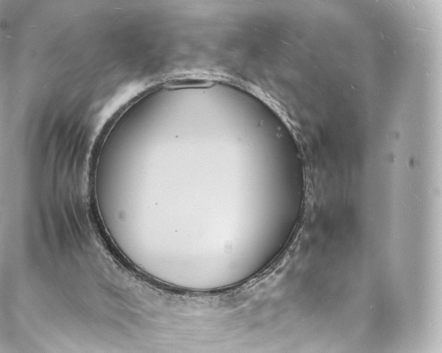 X0000088070008200705251414