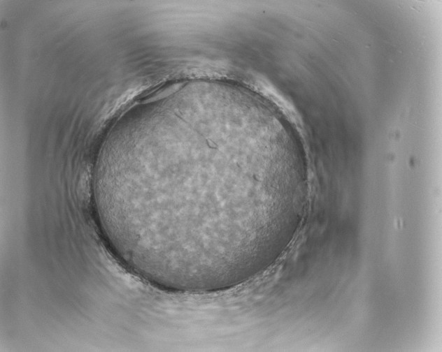 X0000088070009200705251414