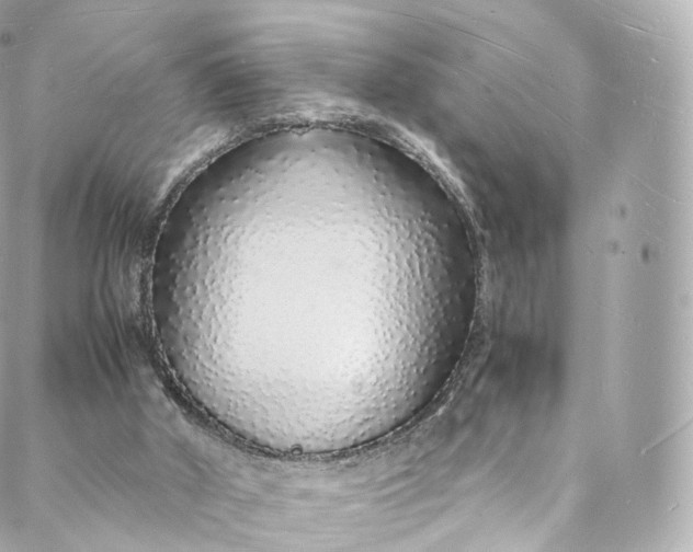 X0000088070010200705251414