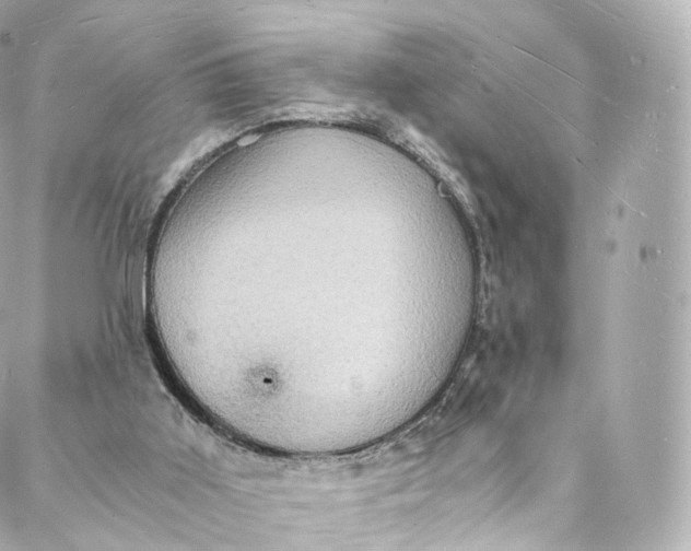 X0000088070011200705251414