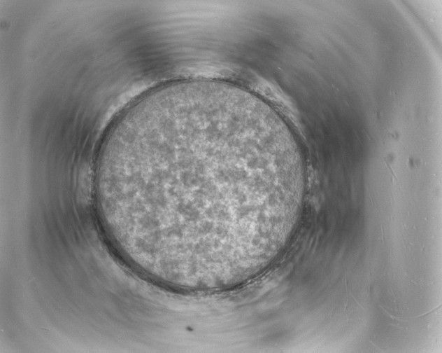 X0000088070012200705251414