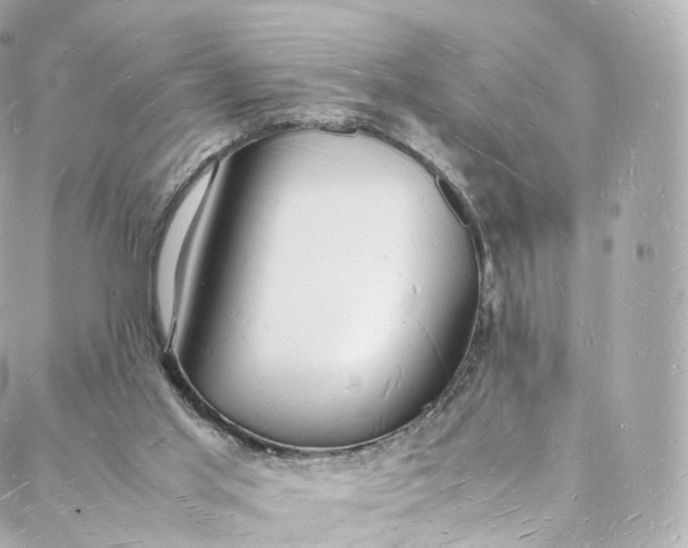 X0000088070013200705251413