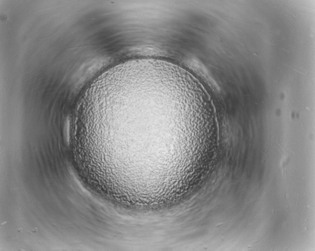 X0000088070014200705251413