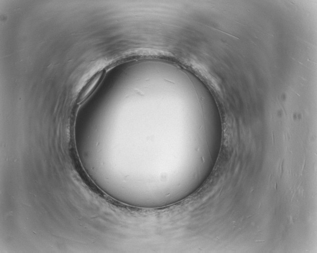 X0000088070015200705251413