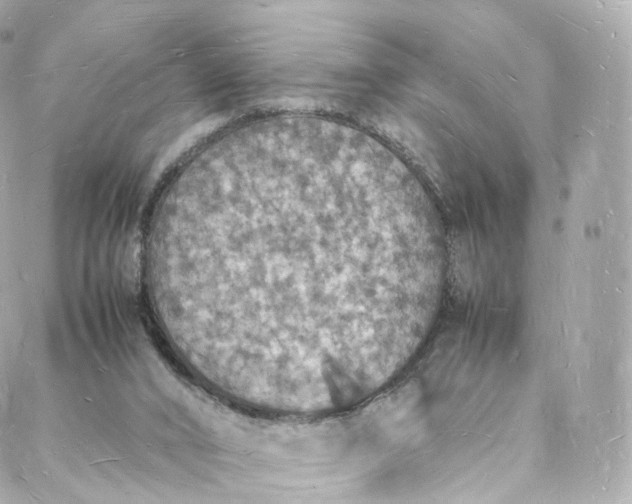 X0000088070016200705251413