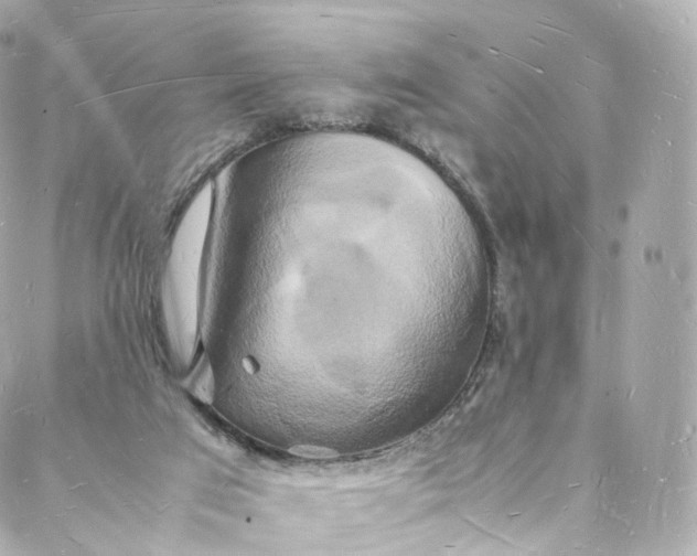 X0000088070017200705251413