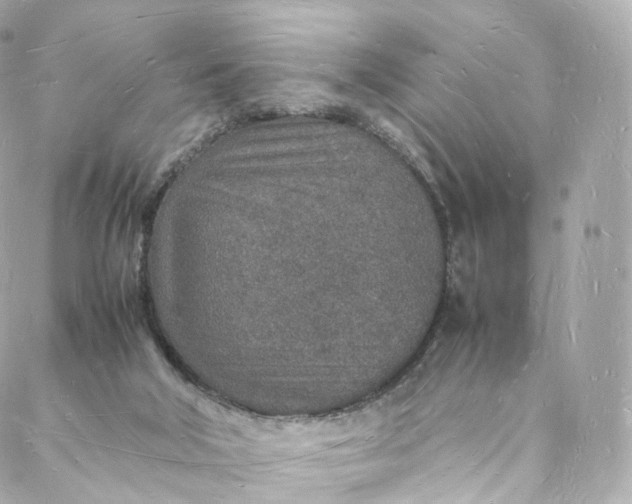 X0000088070018200705251413