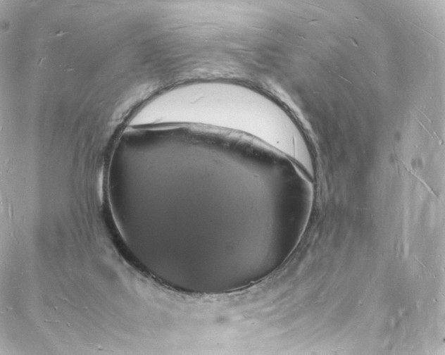 X0000088070019200705251413