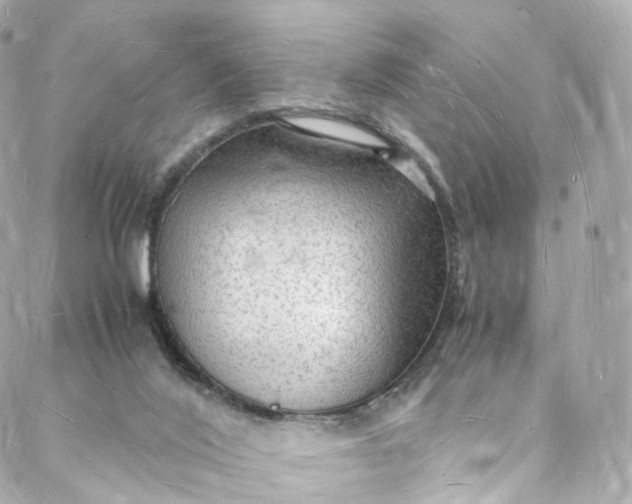 X0000088070020200705251413