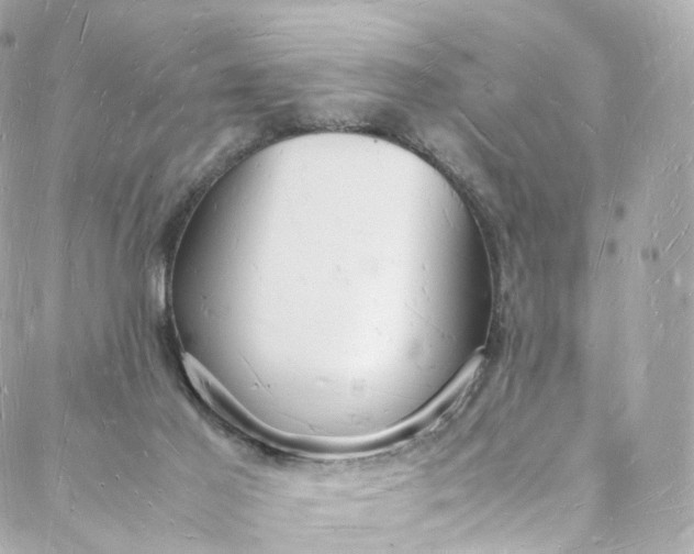 X0000088070021200705251413