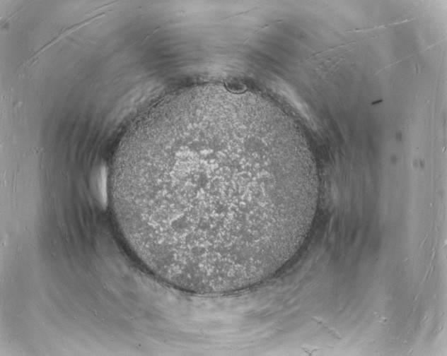 X0000088070022200705251413