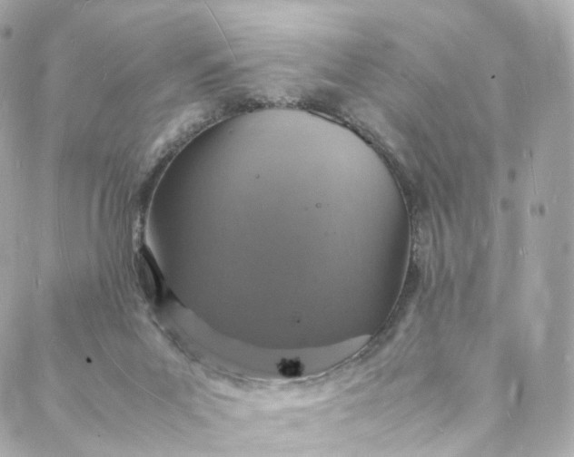 X0000088070023200705251413