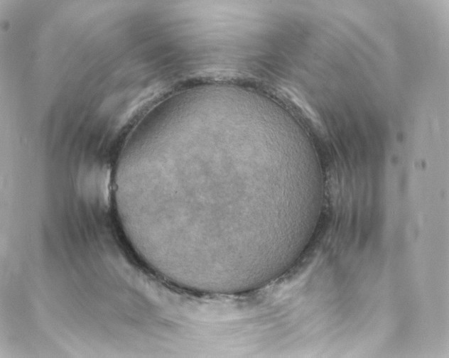 X0000088070024200705251413