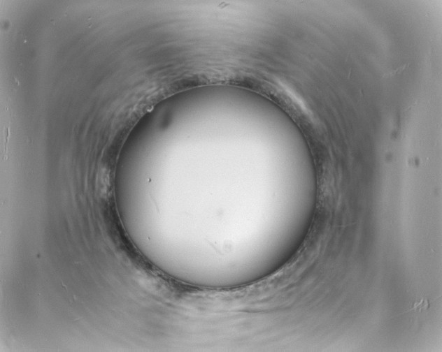 X0000088070025200705251413