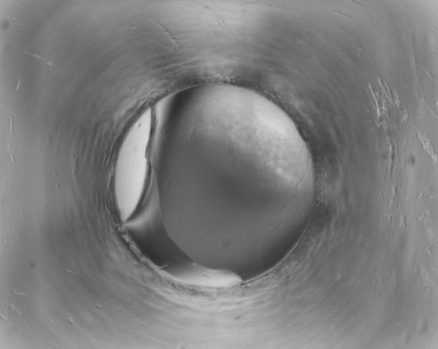 X0000088070027200705251413