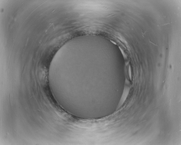 X0000088070029200705251413