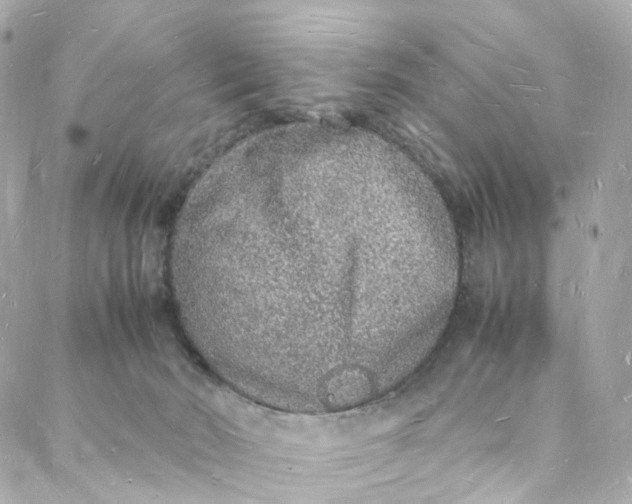 X0000088070030200705251413