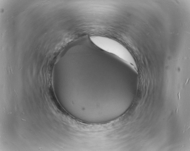 X0000088070031200705251413