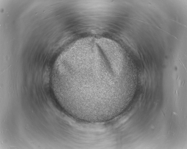 X0000088070032200705251413