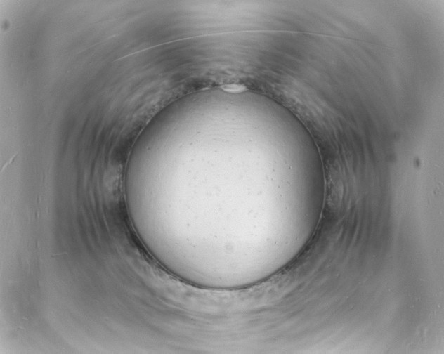 X0000088070034200705251413