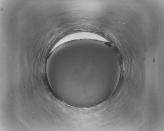 X0000088070035200705251413