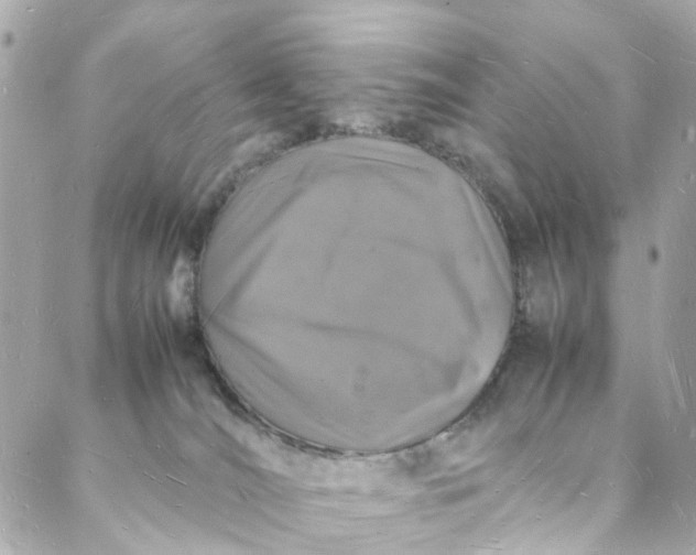 X0000088070036200705251413