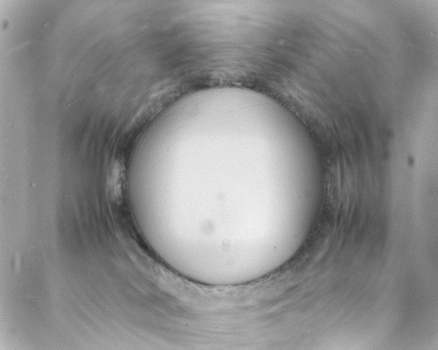 X0000088070038200705251413