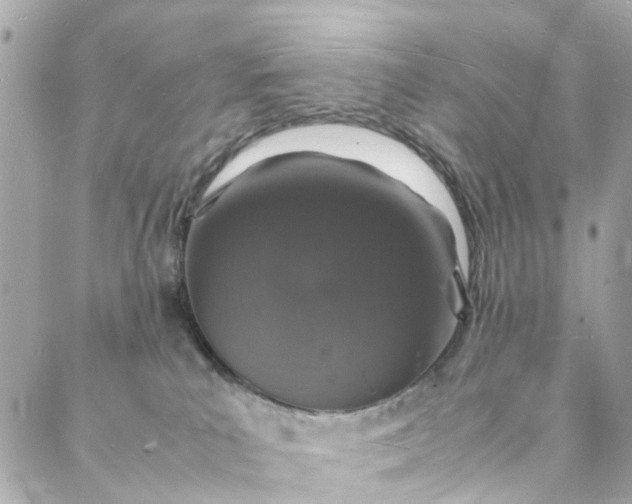 X0000088070039200705251413