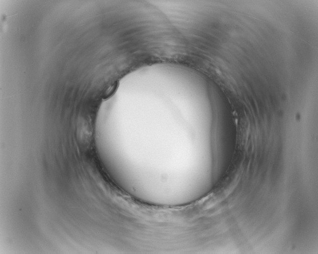 X0000088070040200705251413