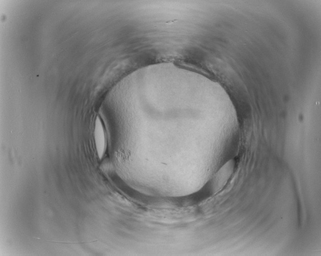 X0000088070041200705251413