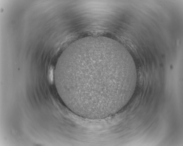 X0000088070042200705251413