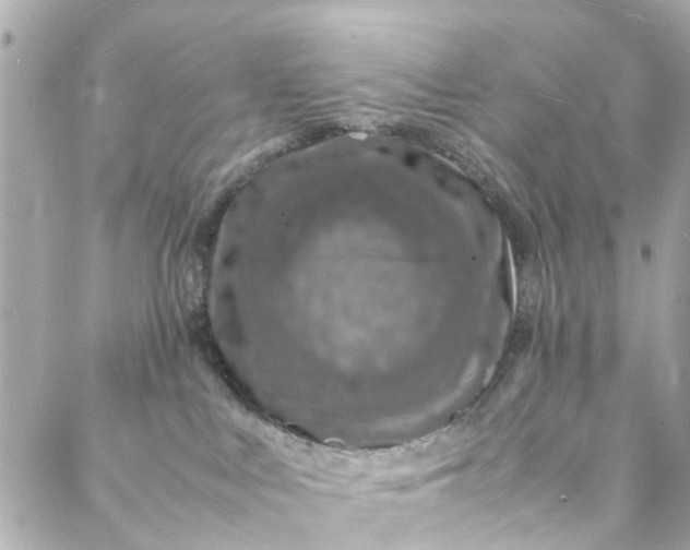 X0000088070043200705251413