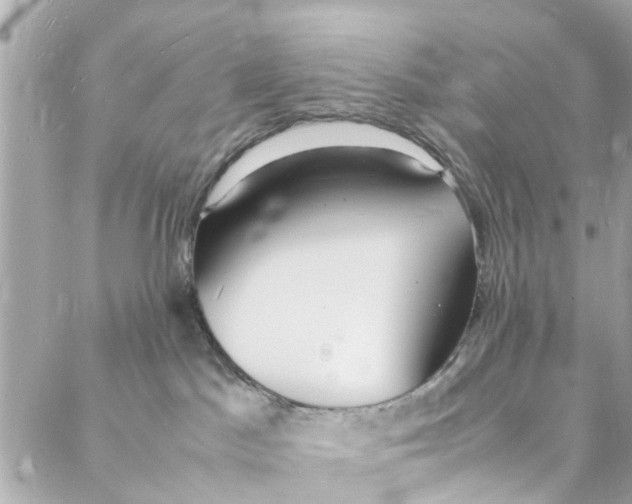 X0000088070045200705251413