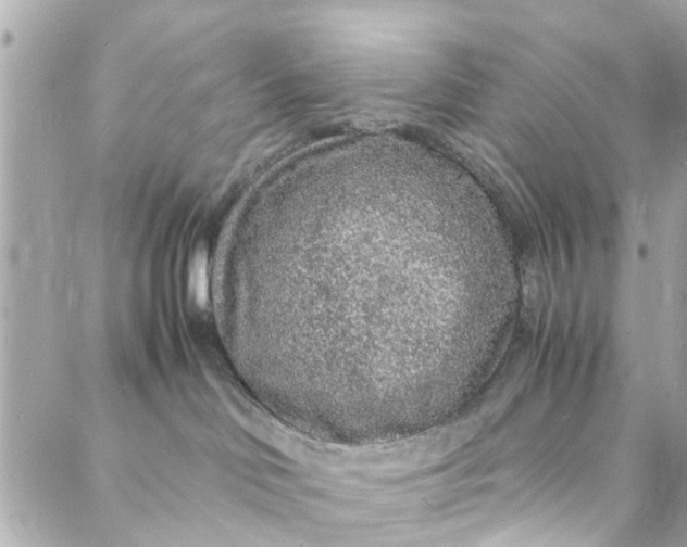 X0000088070046200705251413