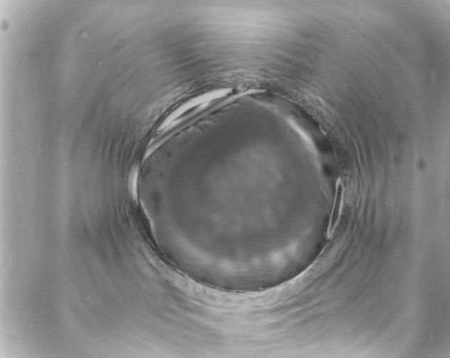 X0000088070047200705251413