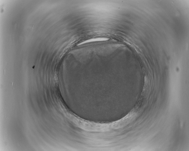 X0000088070048200705251413