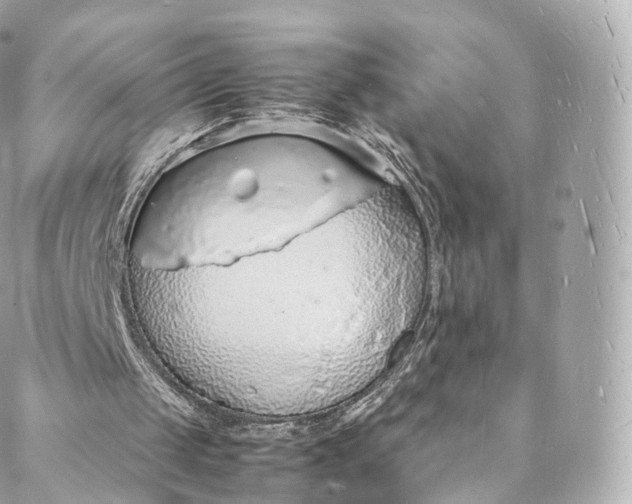 X0000088070049200705251412