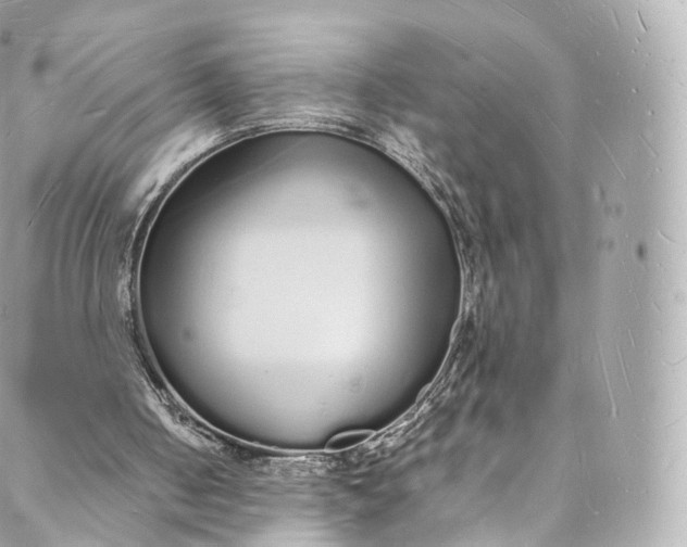 X0000088070050200705251412