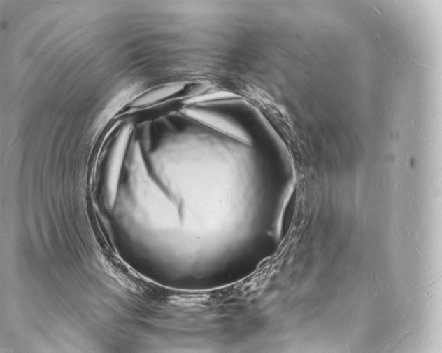 X0000088070051200705251412