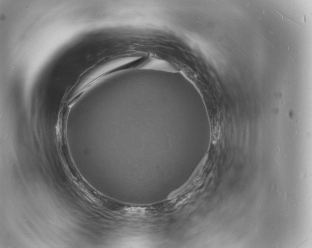 X0000088070052200705251412