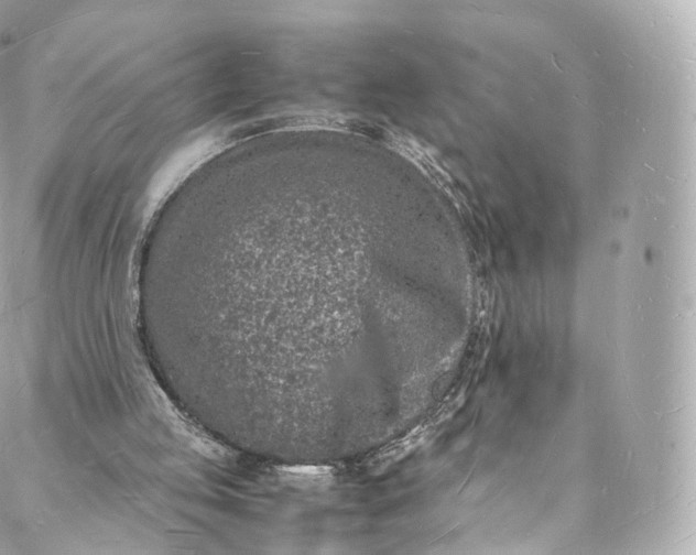 X0000088070053200705251412