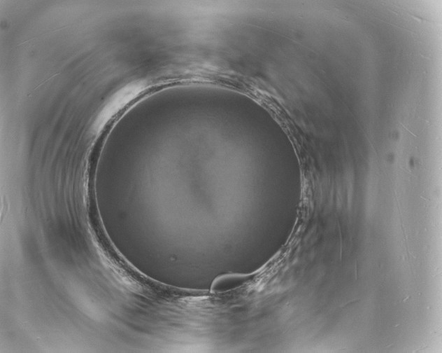 X0000088070054200705251412