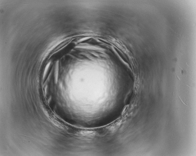 X0000088070055200705251412