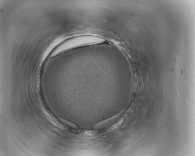 X0000088070056200705251412