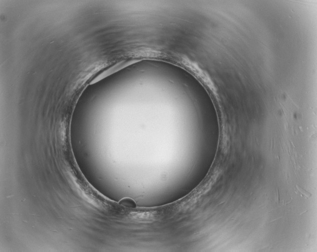 X0000088070057200705251412