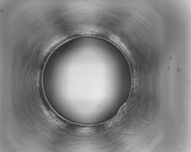 X0000088070058200705251412